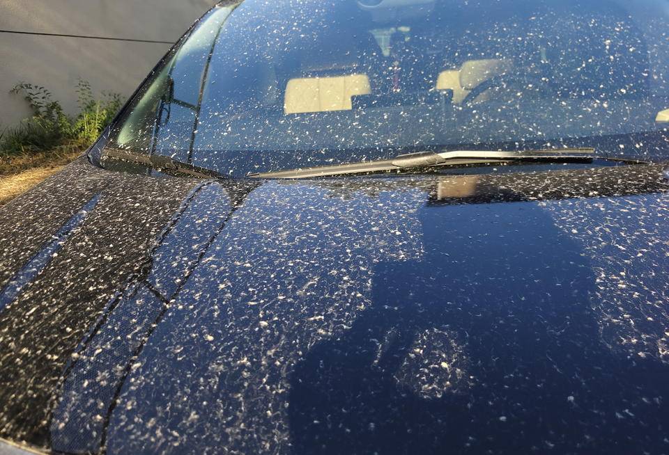 皇冠信用網登2登3
_昨晚这场暴风骤雨皇冠信用網登2登3
，让济南很多车辆变成“大花脸”