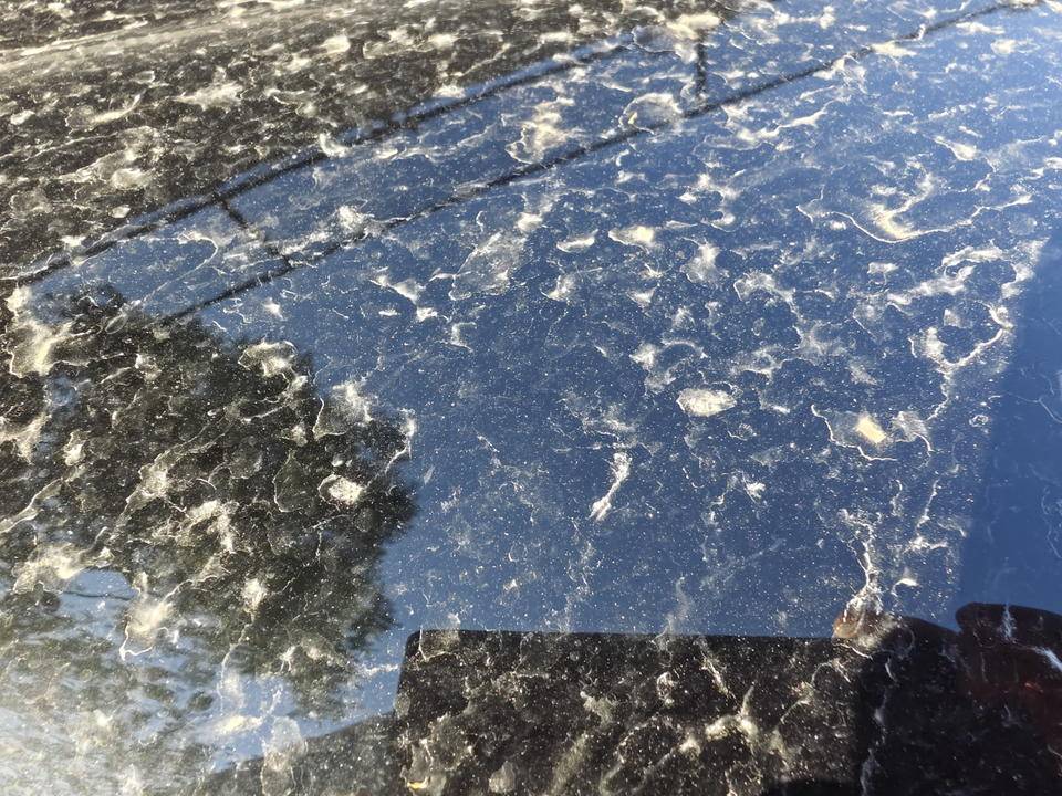 皇冠信用網登2登3
_昨晚这场暴风骤雨皇冠信用網登2登3
，让济南很多车辆变成“大花脸”