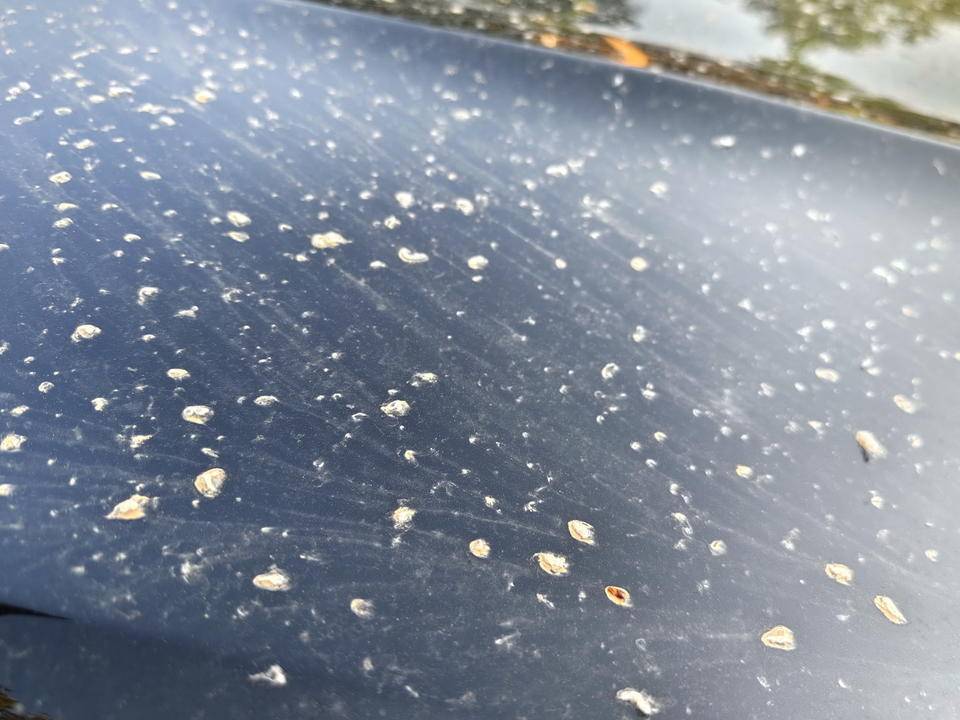 皇冠信用網登2登3
_昨晚这场暴风骤雨皇冠信用網登2登3
，让济南很多车辆变成“大花脸”