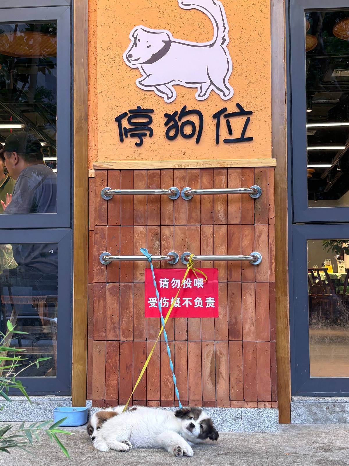 皇冠信用网怎么注册_“先停狗再干饭！”武汉多个商铺现“停狗位”皇冠信用网怎么注册，商家称为吸引宠主，但有宠主表示担心