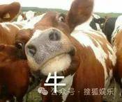 皇冠信用網会员开户_调侃“接受不了生女儿”被骂好几天皇冠信用網会员开户，他自曝差点因此家庭破裂......