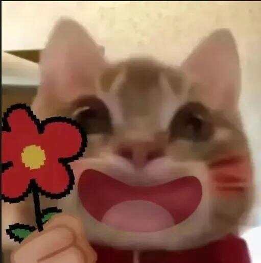 布拉加U23 vs维赛拉U23_79岁老伯为见其相亲对象“翠花”布拉加U23 vs维赛拉U23，将身份证改小10岁 被发现后不忘叮嘱民警“能不能不告诉她”