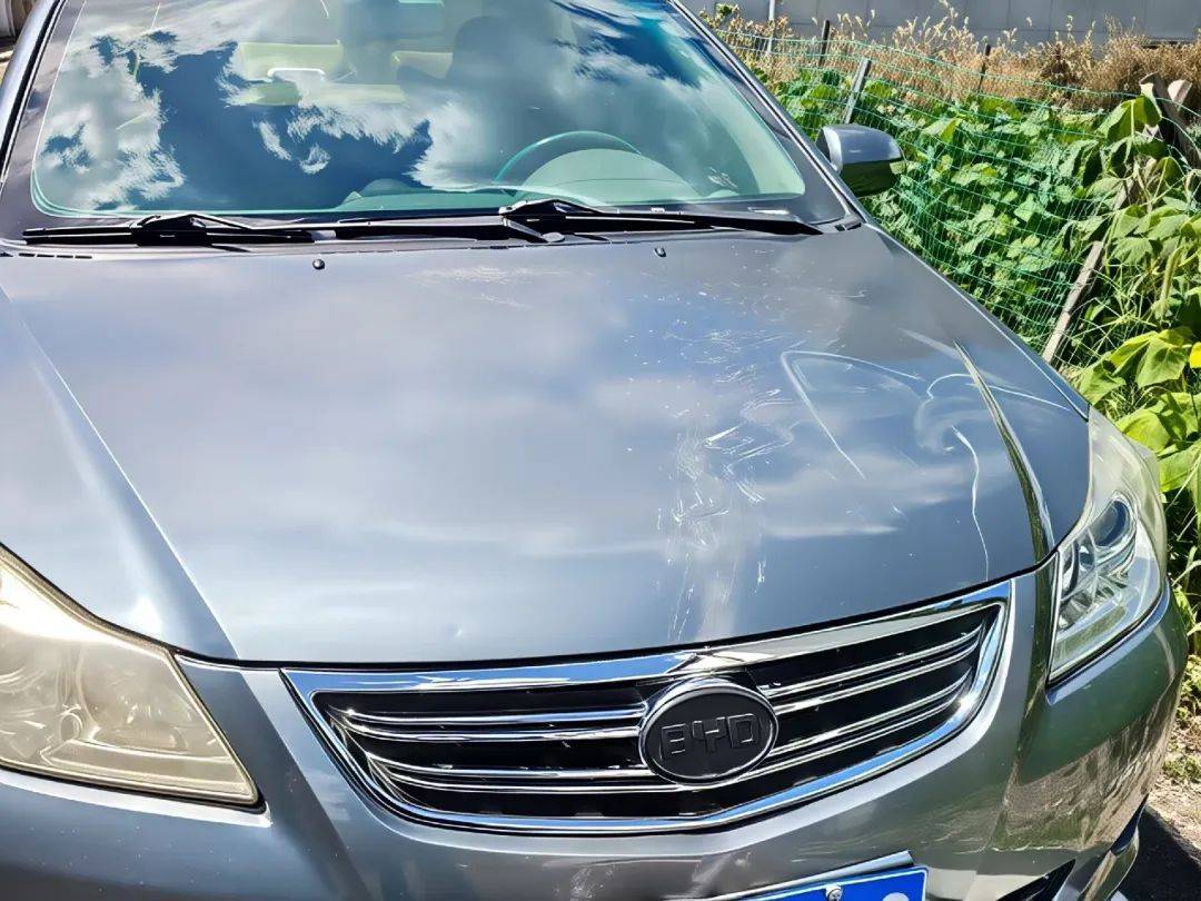 霍恩vs林茨_浙江车主一觉醒来傻眼了：谁干的？！警方：“肇事者”200斤霍恩vs林茨，不是人