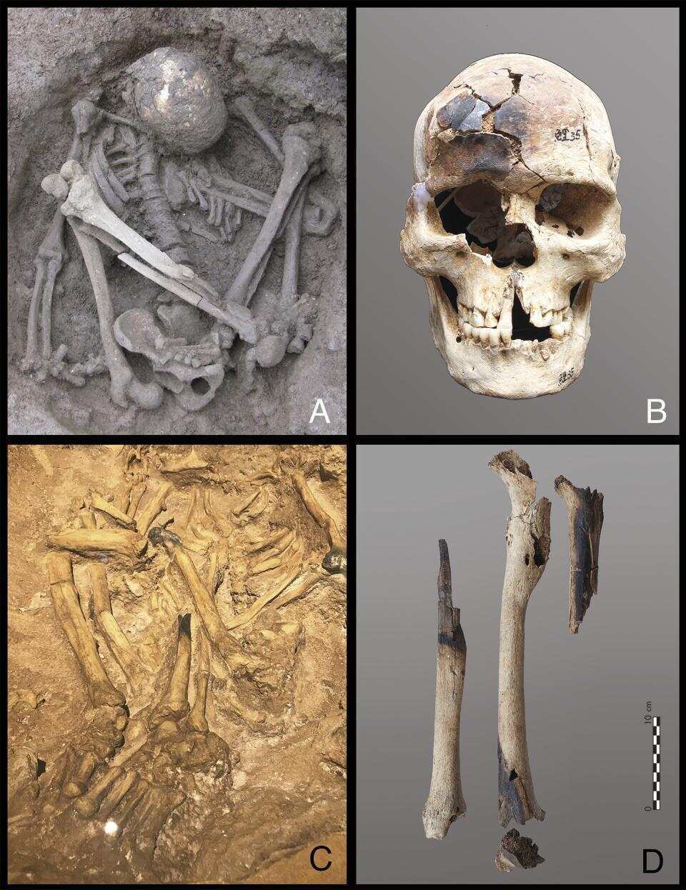 皇冠信用网出租足球_东南亚惊现1.2万年前木乃伊皇冠信用网出租足球，或是世界上已知最古老木乃伊；此前，埃及木乃伊广为人知