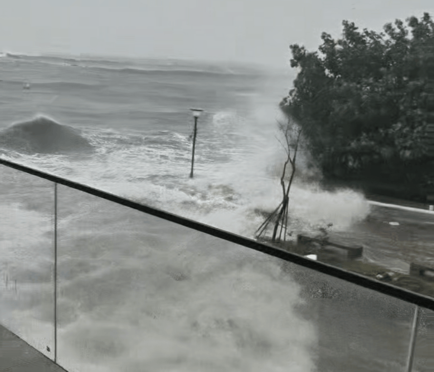 皇冠信用网可以占几成_湛江徐闻实况：路边大树被强风刮倒皇冠信用网可以占几成，车辆被砸！台风“麦德姆”即将登陆