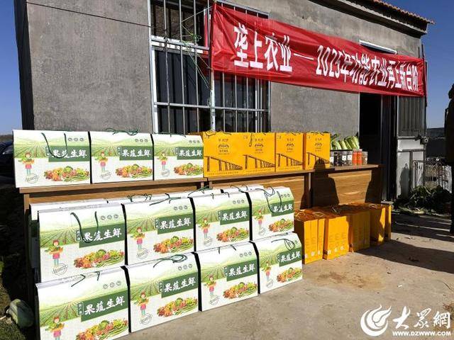 皇冠信用平台出租_山东青岛：全国首批“板蓝根白菜”喜获丰收皇冠信用平台出租，正式上市！首批10万棵已被上海采购商“包圆”